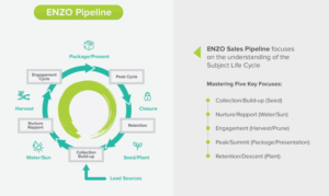 Enzo Sales Pipeline | Infografik-Design von sherlock_h