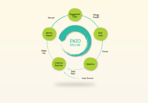 Enzo Sales Pipeline | Infografik-Design von Pixper