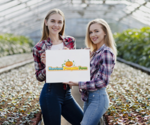 Logo Design by art.edison for this project | Design: #26236022