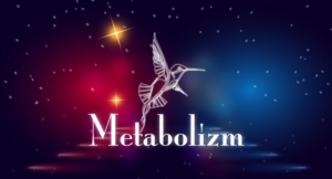 Logo Design by logo_master90 for this project | Design: #26194968