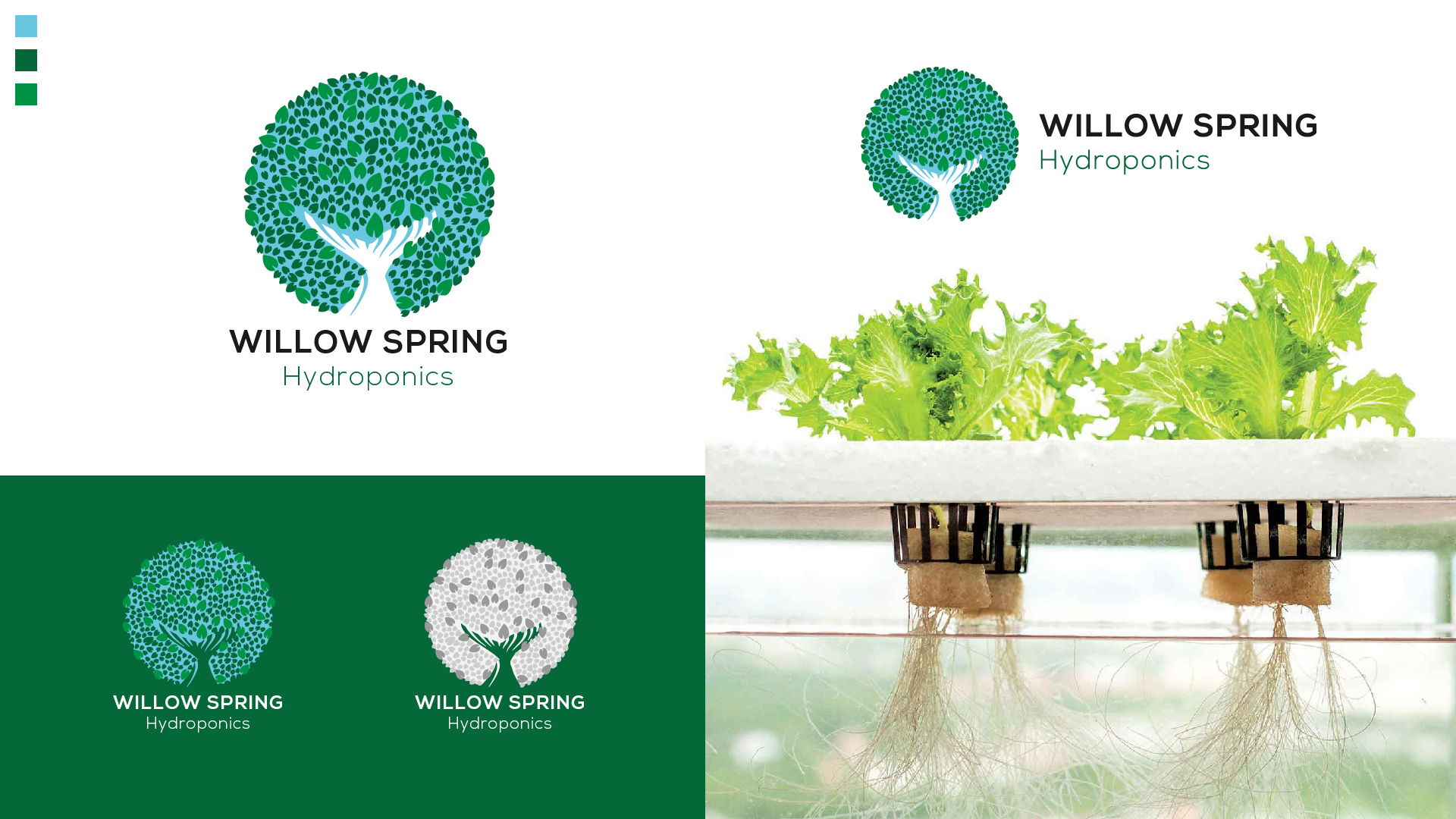 Logo Design by Dheva for Willow spring hydroponics | Design #26201960