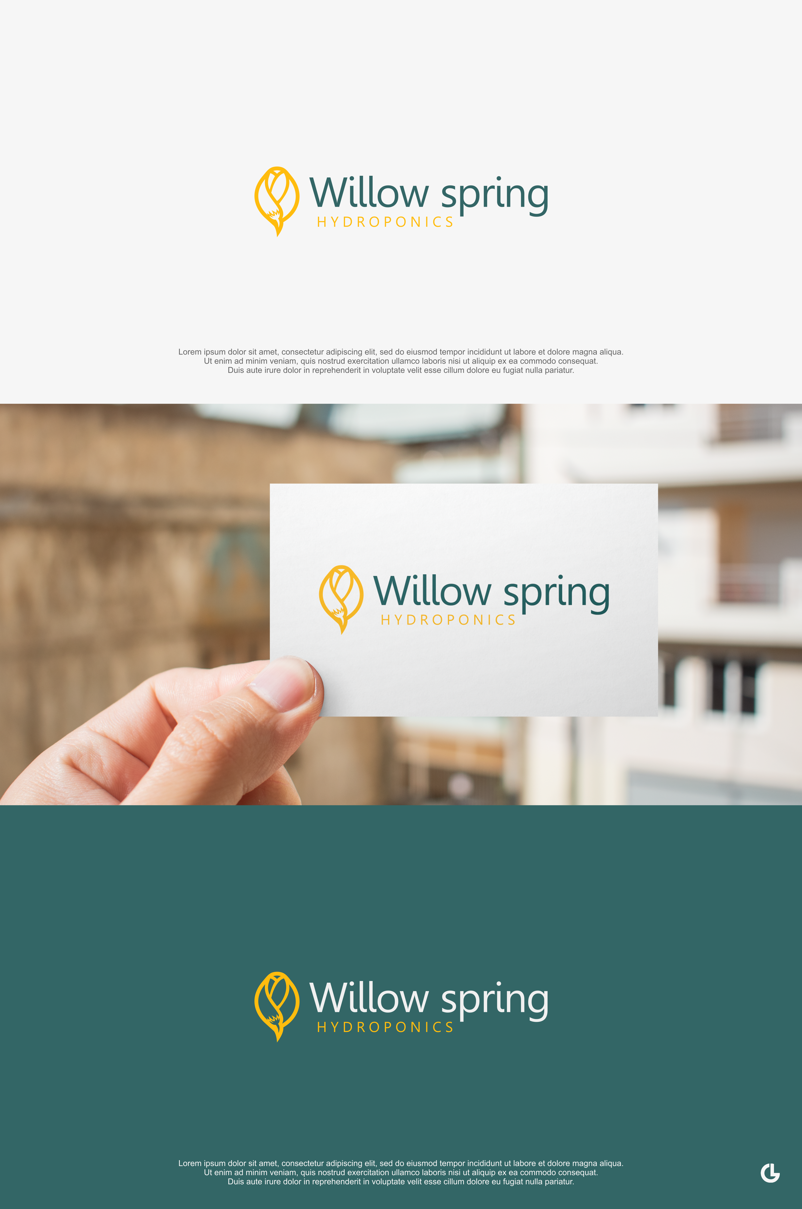 Logo Design by R!CKY for Willow spring hydroponics | Design #26220917