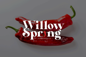 Logo Design by zaria. for Willow spring hydroponics | Design: #26202522
