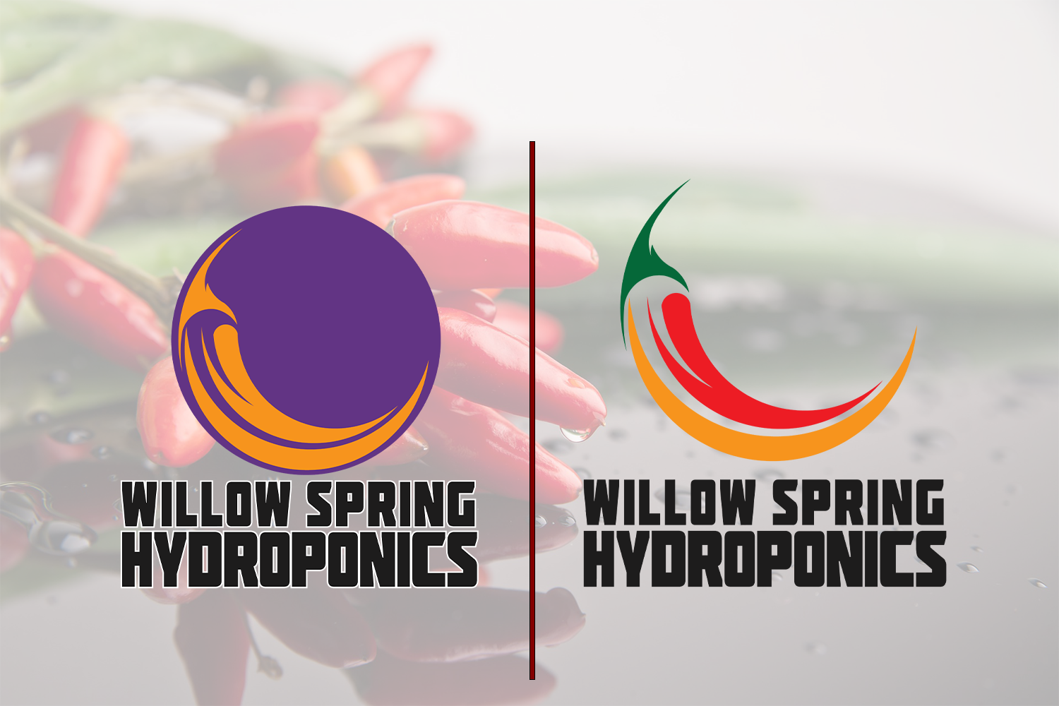 Diseño de Logo por Kay V para Willow spring hydroponics | Diseño #26219338