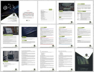 Word Template Designs for Offensive Security Professional Services Report