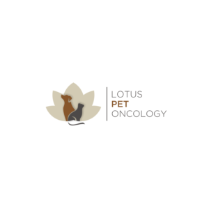 Logo Design by aquila© for this project | Design: #26237652
