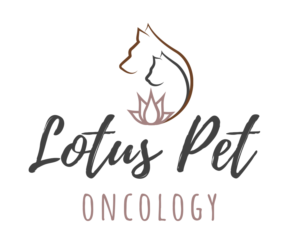 Design de Logo par Andrés Sebastián pour ce projet | Design : #26235034