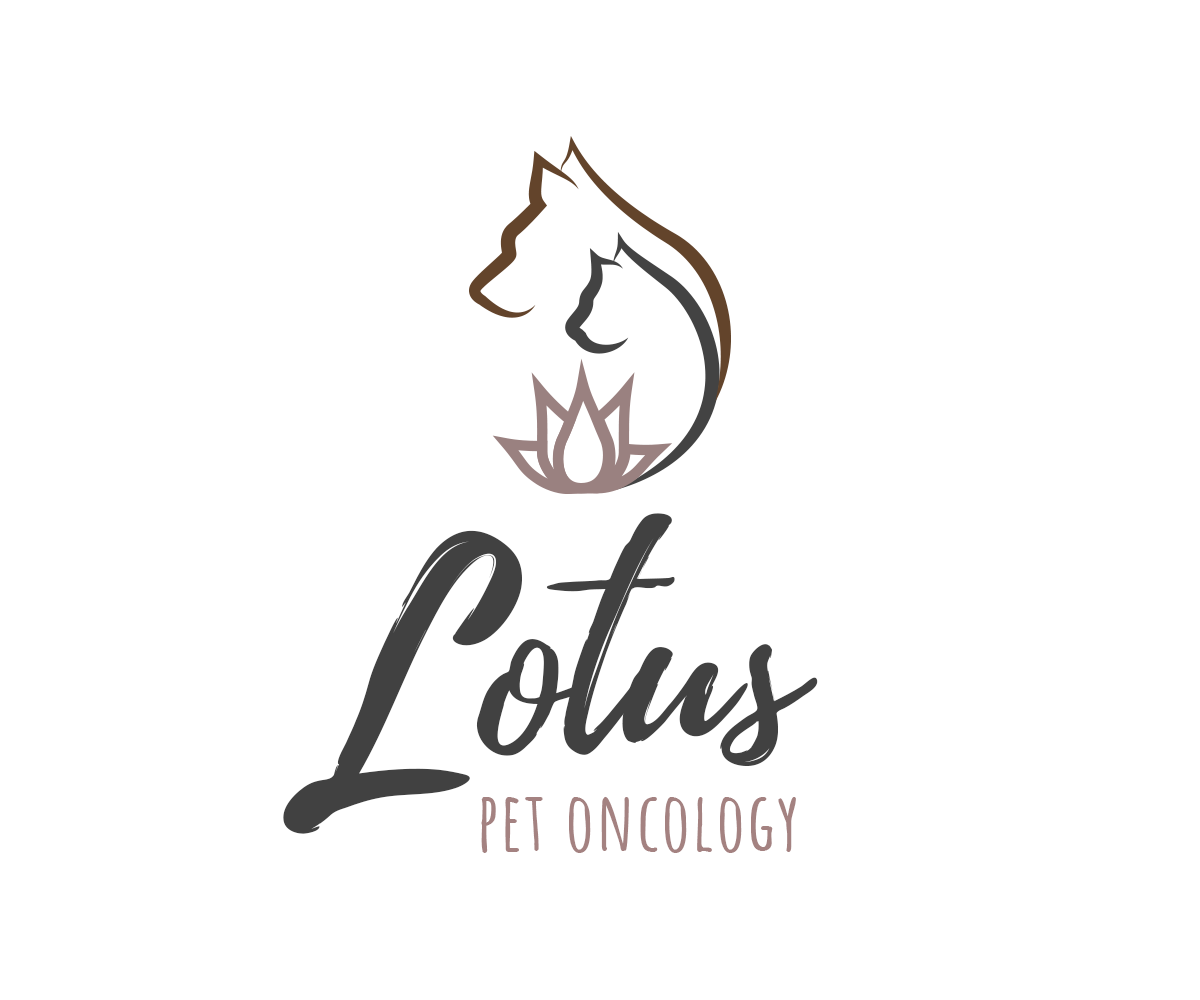 Logo-Design von Andrés Sebastián für dieses Projekt | Design #26235494
