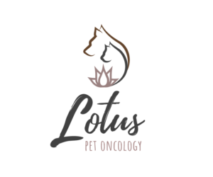 Logo Design by Andrés Sebastián for this project | Design #26235494