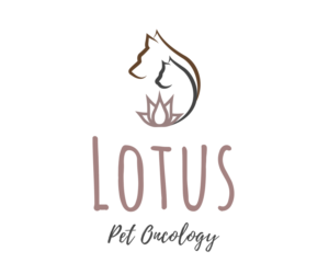 Logo Design by Andrés Sebastián for this project | Design: #26236336