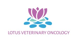 Logo Design by TALIA for this project | Design #26213634