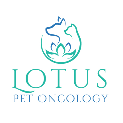 Logo Design by emdeee for this project | Design #26227644