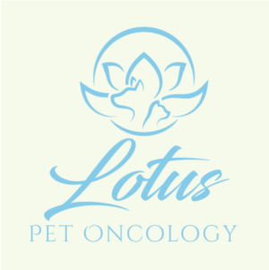 Design de Logo par emdeee pour ce projet | Design : #26234395
