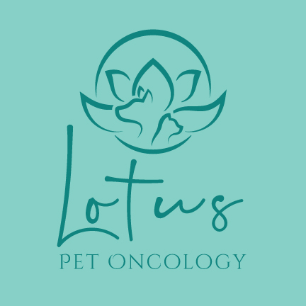 Logo Design by emdeee for this project | Design #26238328