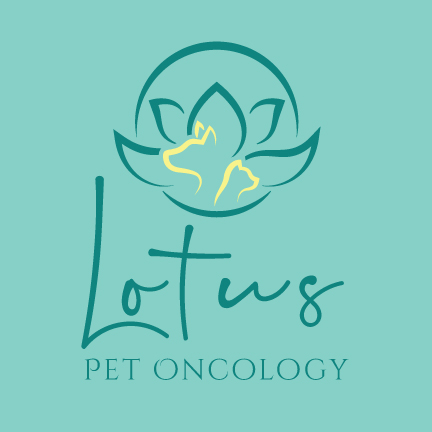 Logo Design by emdeee for this project | Design #26238329