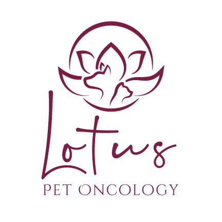 Logo Design by emdeee for this project | Design #26238330