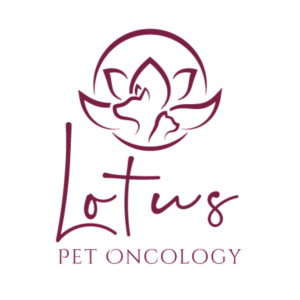 Logo Design by emdeee for this project | Design: #26238330