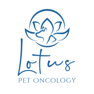Logo Design by emdeee for this project | Design: #26238331