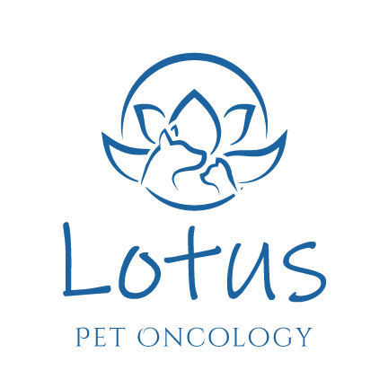 Logo Design by emdeee for this project | Design #26241383