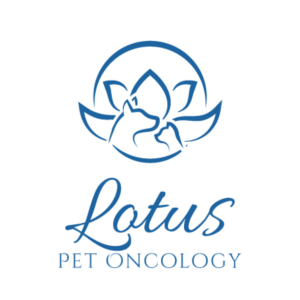 Logo Design by emdeee for this project | Design: #26241384