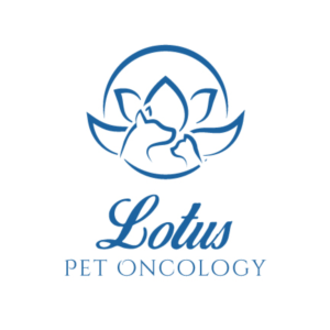Logo Design by emdeee for this project | Design: #26241385