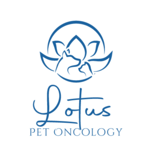 Logo Design by emdeee for this project | Design: #26241386