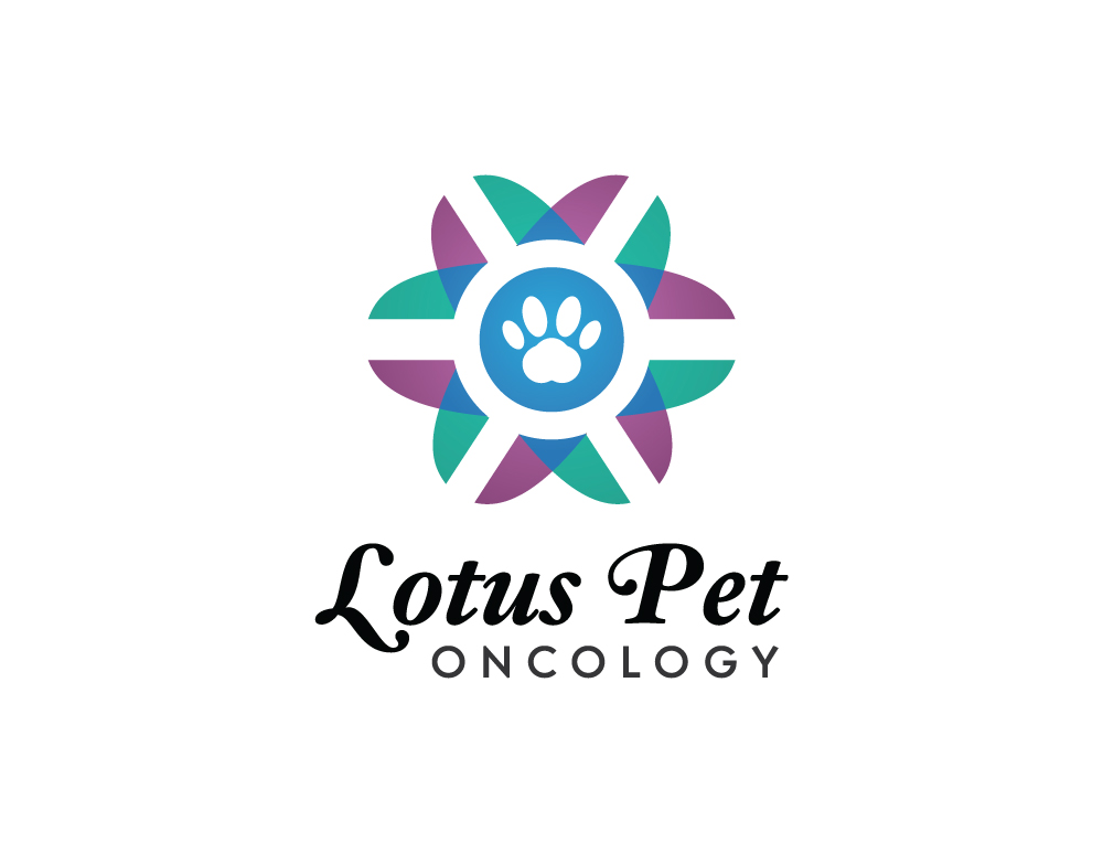 Logo Design by dumieucos for this project | Design #26222679