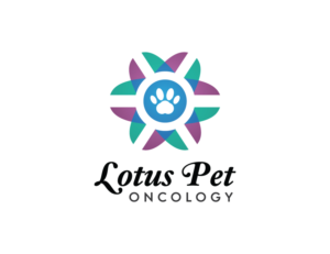 Logo Design by dumieucos
