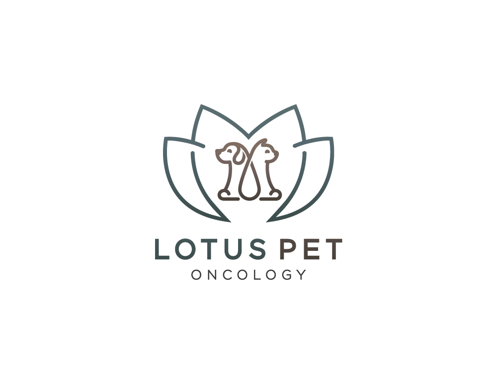 Design de Logo par dumieucos pour ce projet | Design #26263347