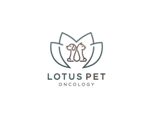 Design de Logo par dumieucos pour ce projet | Design : #26263347