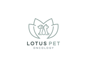 Design de Logo par dumieucos pour ce projet | Design : #26263368