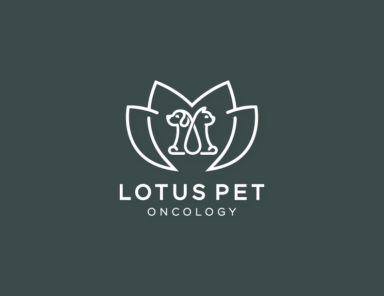 Design de Logo par dumieucos pour ce projet | Design #26263376