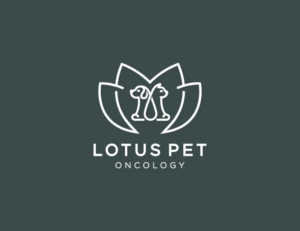 Design de Logo par dumieucos pour ce projet | Design : #26263376