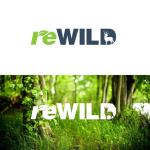 reWild | Logo Design by collinlevine