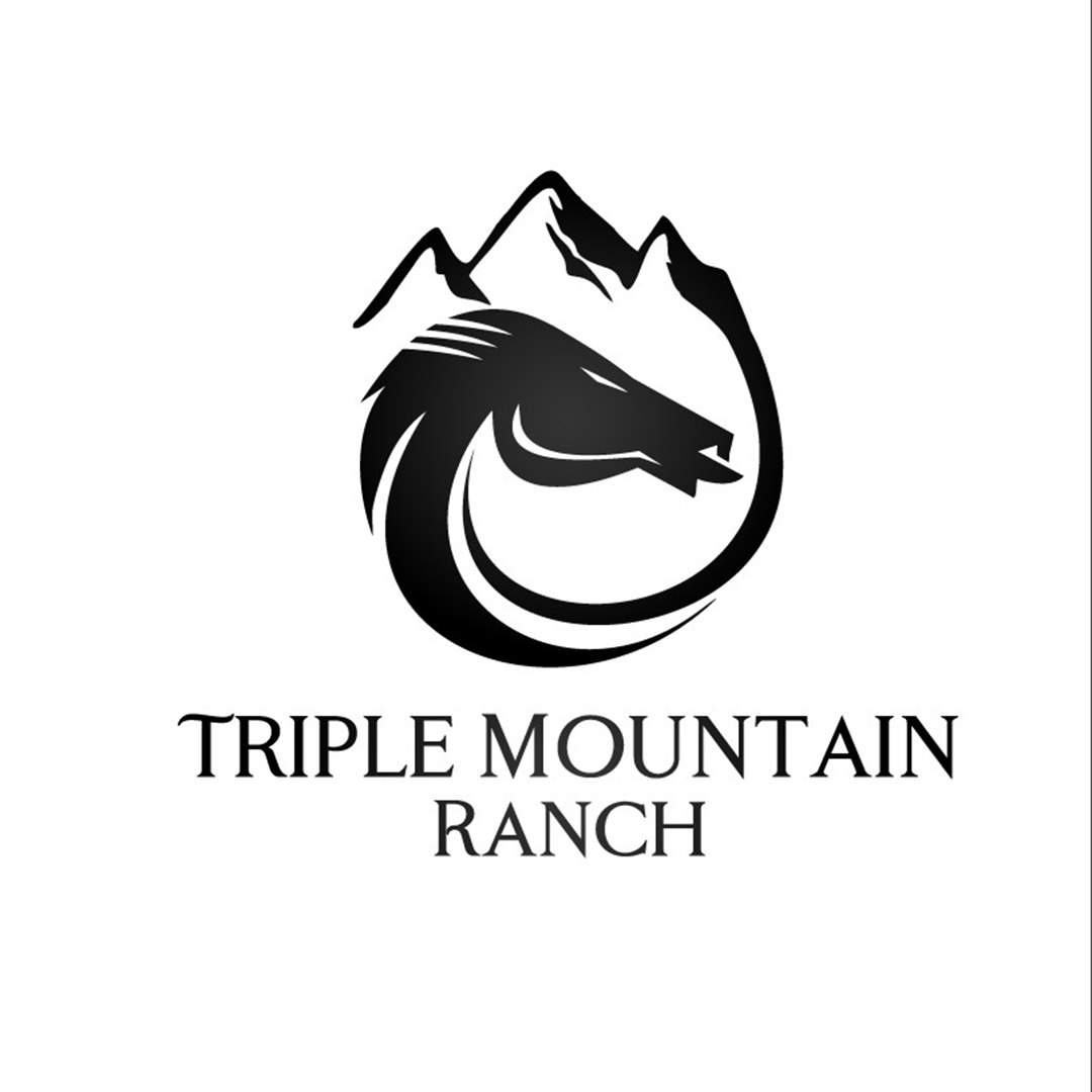 Logo Design by mert güler 2 for this project | Design #26213517
