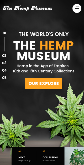 Diseño Web por nzdesigners para este proyecto | Diseño #26243730