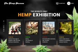 Web Design par nzdesigners pour ce projet | Design : #26243731