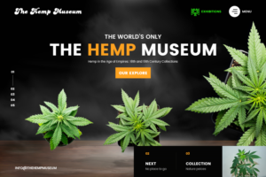 Web Design par nzdesigners pour ce projet | Design : #26243733