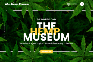 Web Design par nzdesigners pour ce projet | Design : #26243737