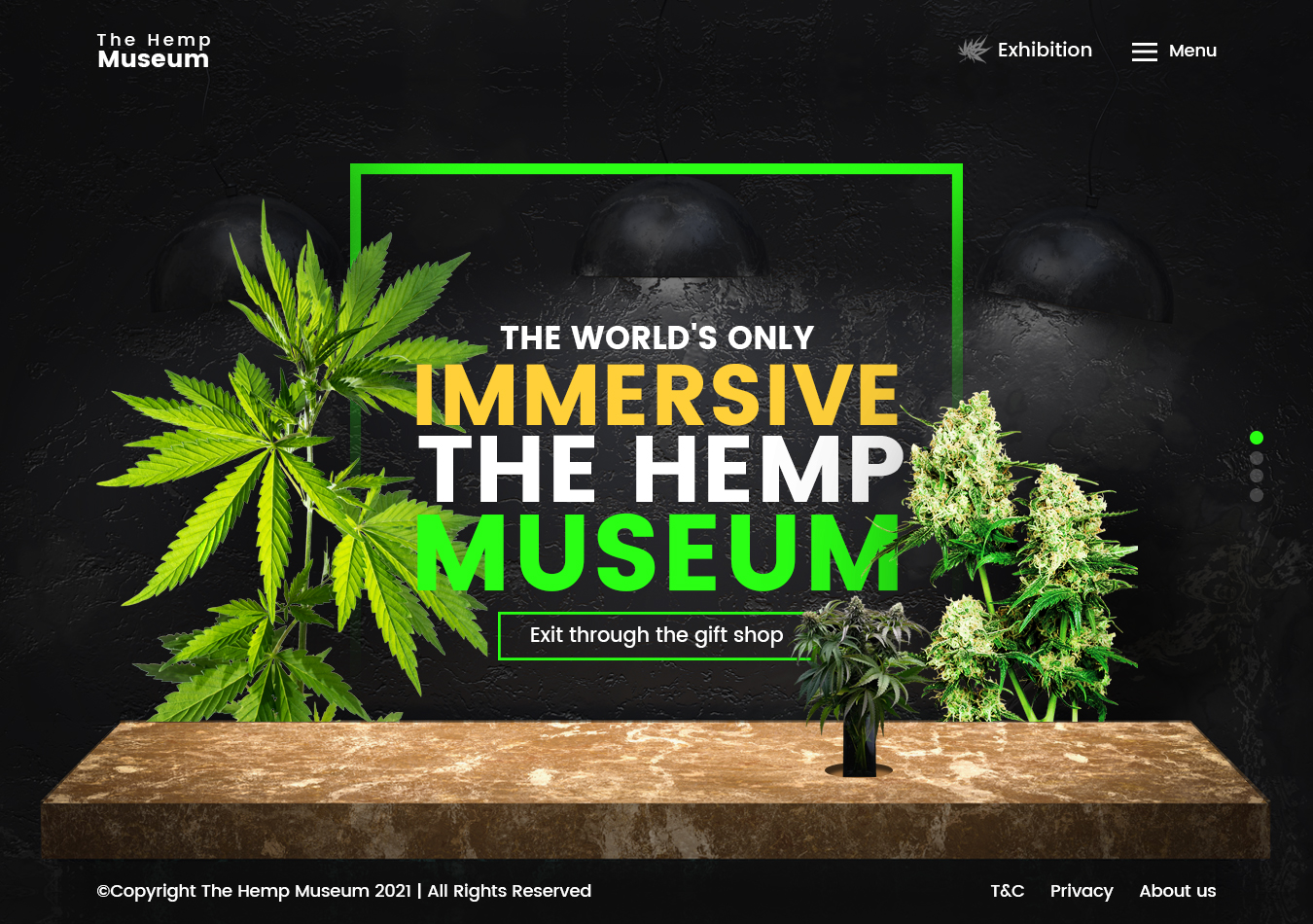 Diseño Web por nzdesigners para este proyecto | Diseño #26243772