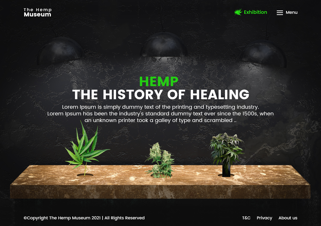 Web Design par NZ Creatives pour ce projet | Design #26262996