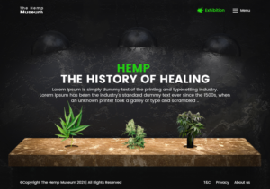 Web Design par nzdesigners pour ce projet | Design : #26262996