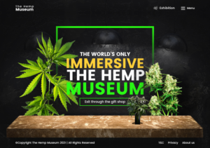 Web Design par nzdesigners pour ce projet | Design : #26263000