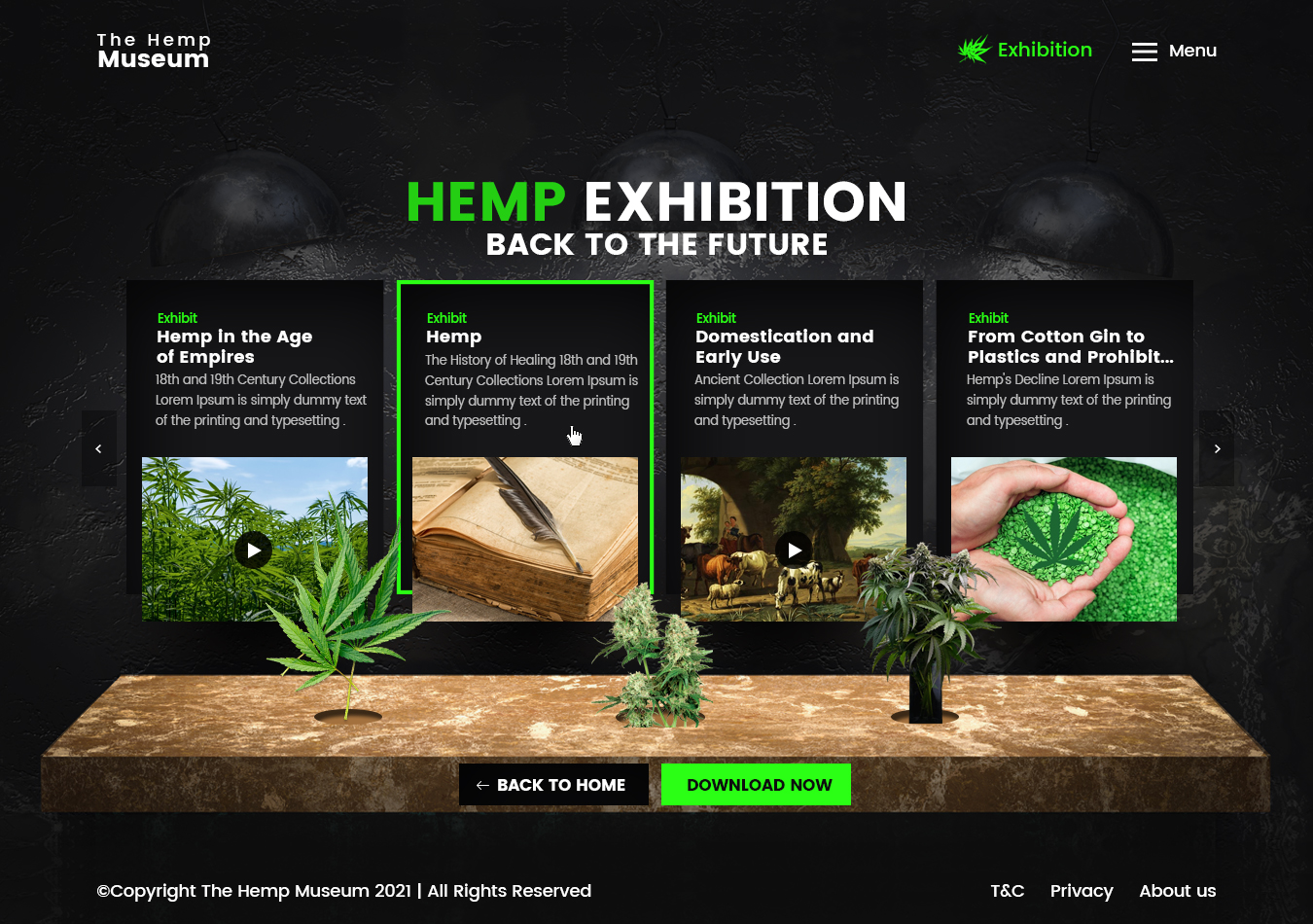 Web Design by NZ Creatives for this project | Design #26341513