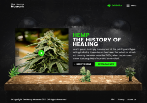 Web Design by nzdesigners for this project | Design: #26342498