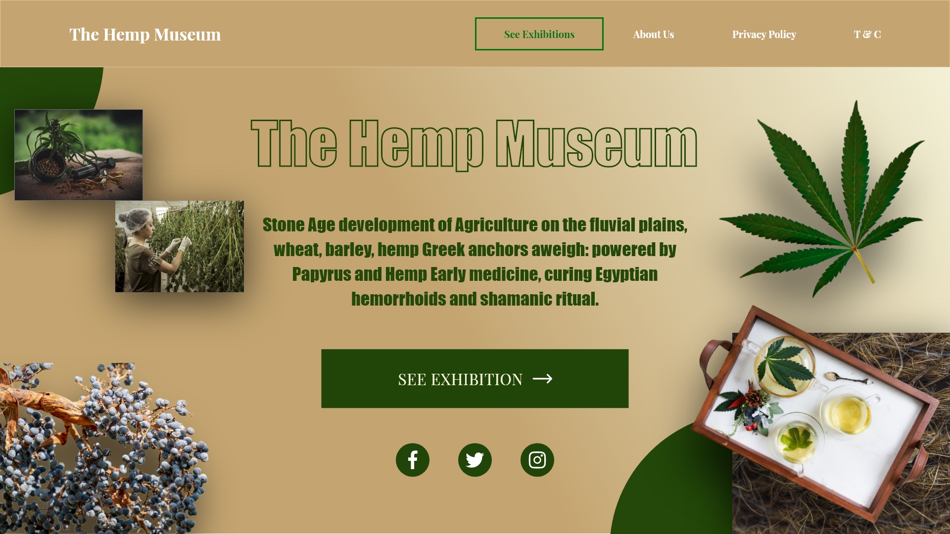 Web Design by Zodiac007 for this project | Design #26335132