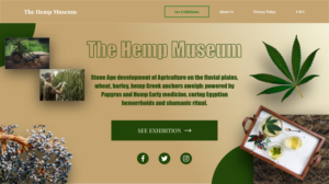 Web Design by Zodiac007 for this project | Design #26335132