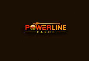 Diseño de Logo por solidinto para este proyecto | Diseño: #26246837