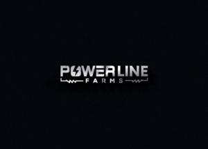 Diseño de Logo por solidinto para este proyecto | Diseño: #26252227