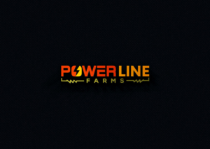 Diseño de Logo por solidinto para este proyecto | Diseño: #26252228